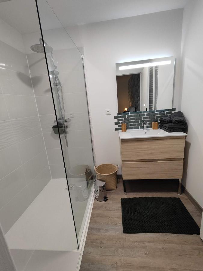 O Loft - 3 Chambres Avec 3 Salles De Bains - Parking - Climatisation Albi Eksteriør billede