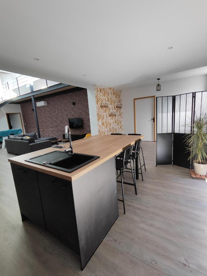O Loft - 3 Chambres Avec 3 Salles De Bains - Parking - Climatisation Albi Eksteriør billede